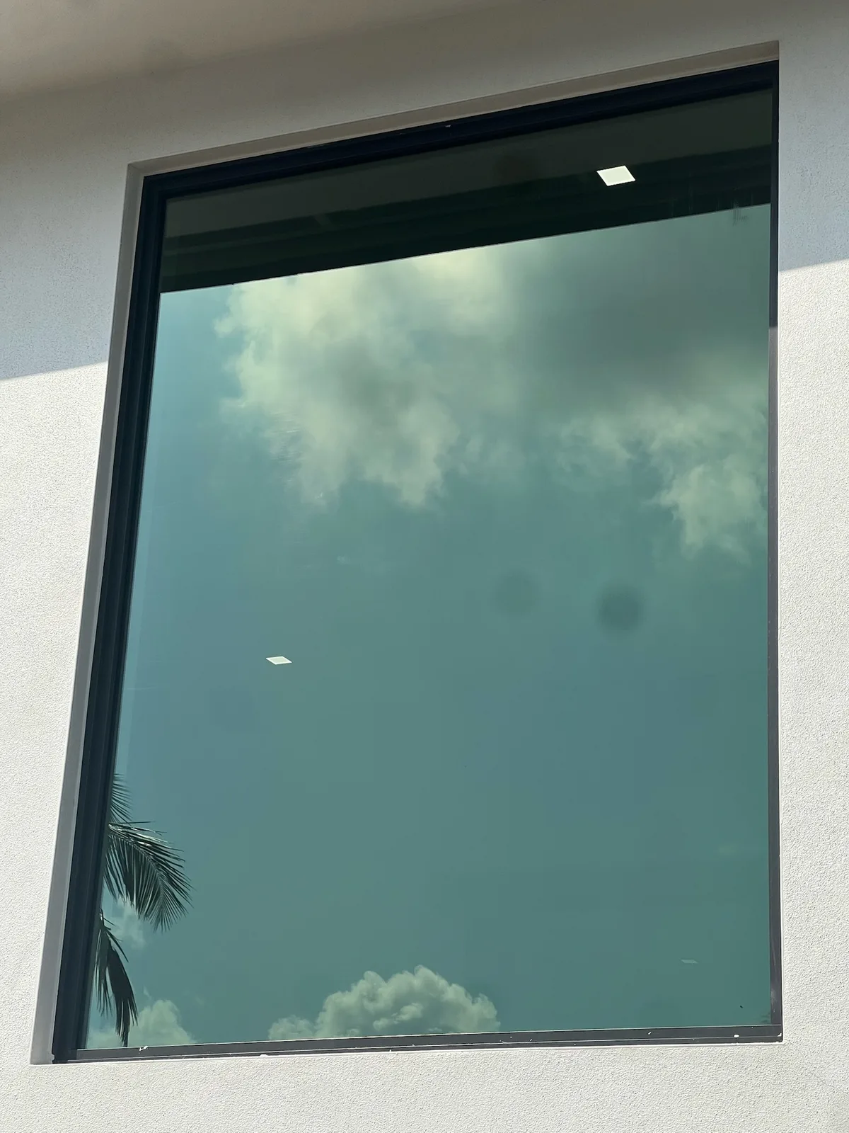 Ducky Windows job photo