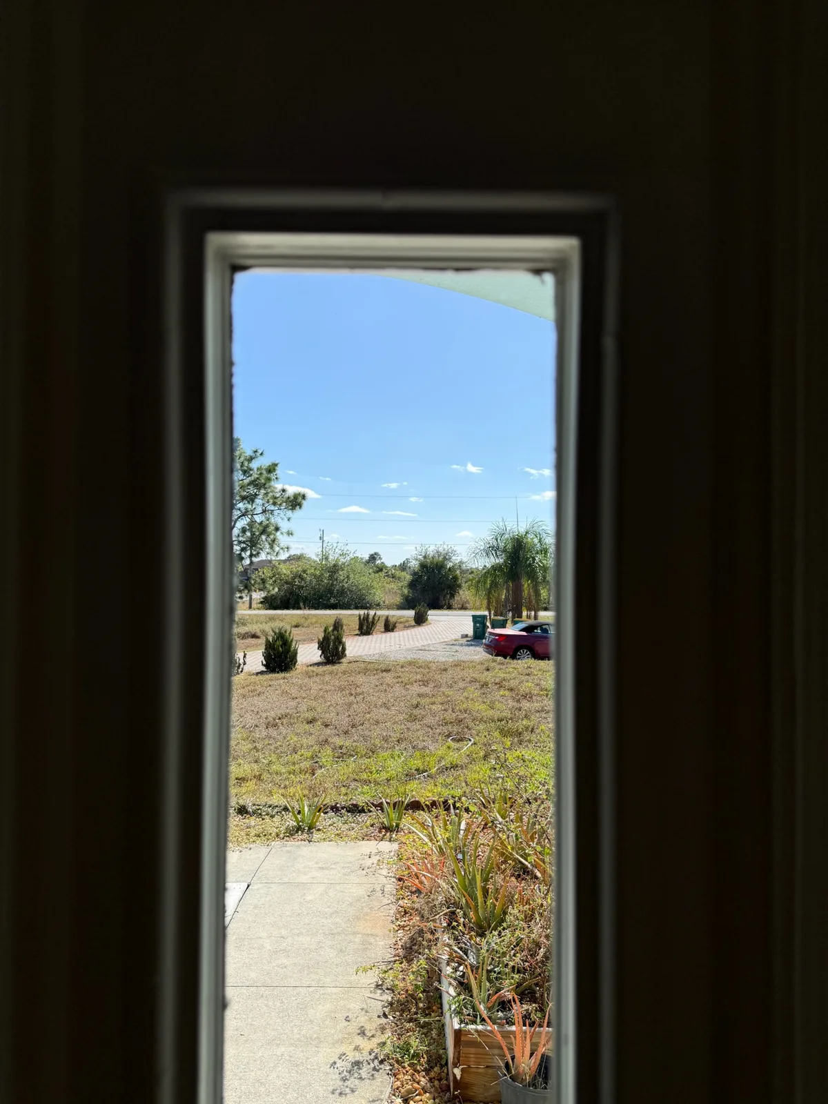 Ducky Windows job photo